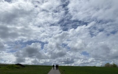 Das große Finale – Letze Etappe auf dem Blütenweg