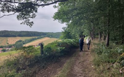 Gemeinsame Wanderung des OWK Großsachsen mit dem OWK Mannheim