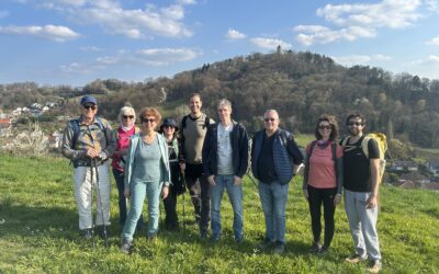 Frühlingserlebnis an der Bergstraße – Der Blütenweg von Zwingenberg nach Heppenheim