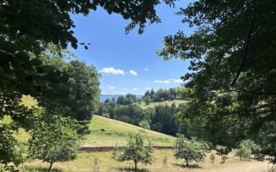 Wanderung durchs Kirchhäuser Tal mit Eisabschluss