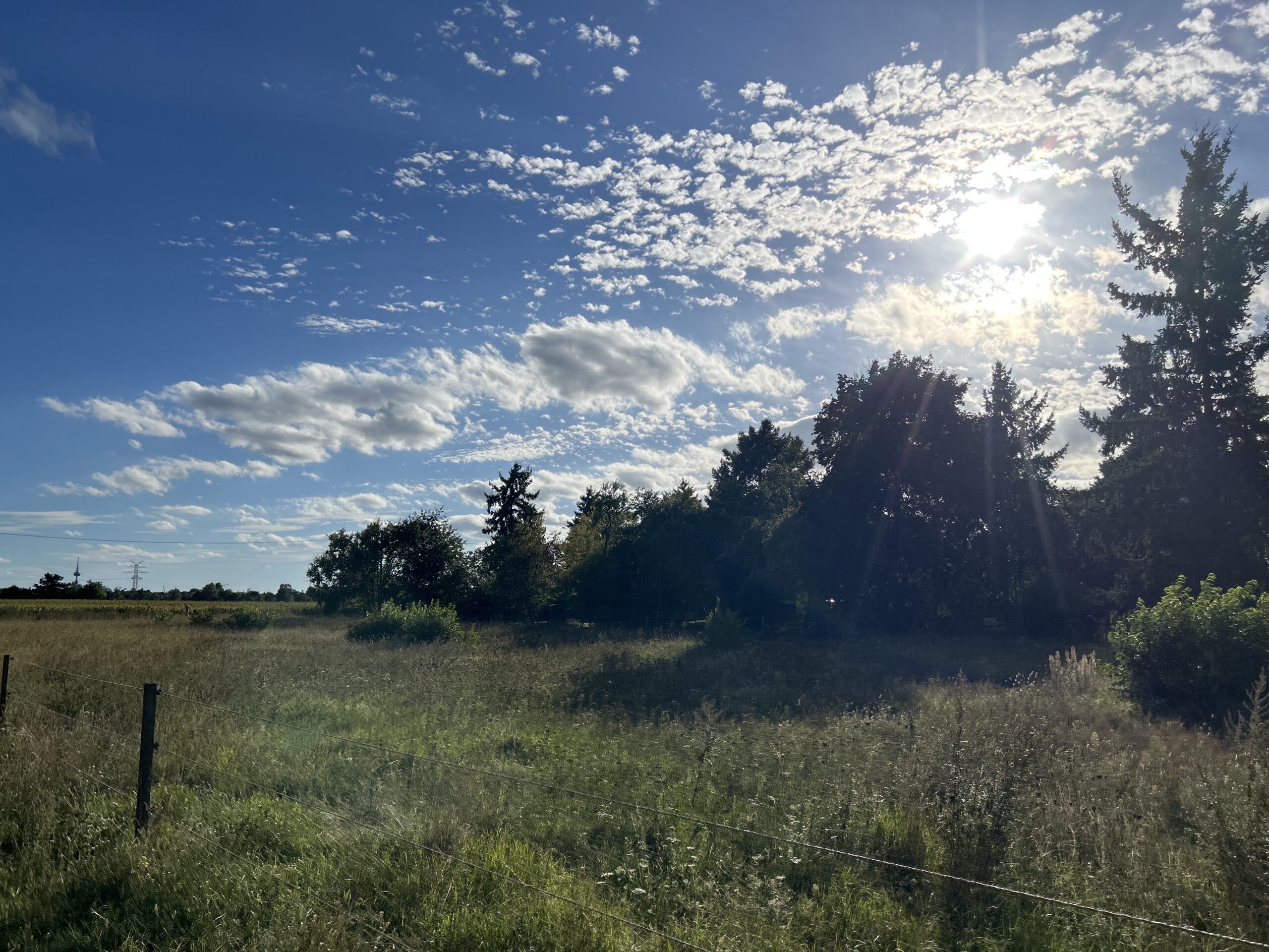 Routen Karte