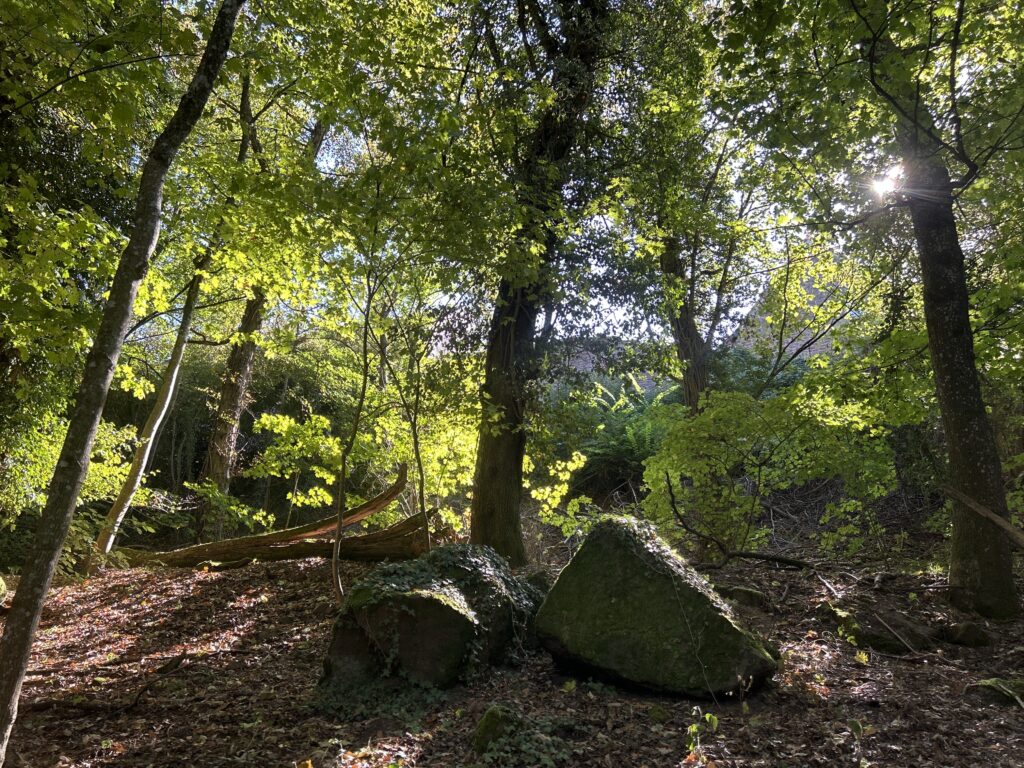 Wanderweg auf der Tour zur Mannheimer Hütte