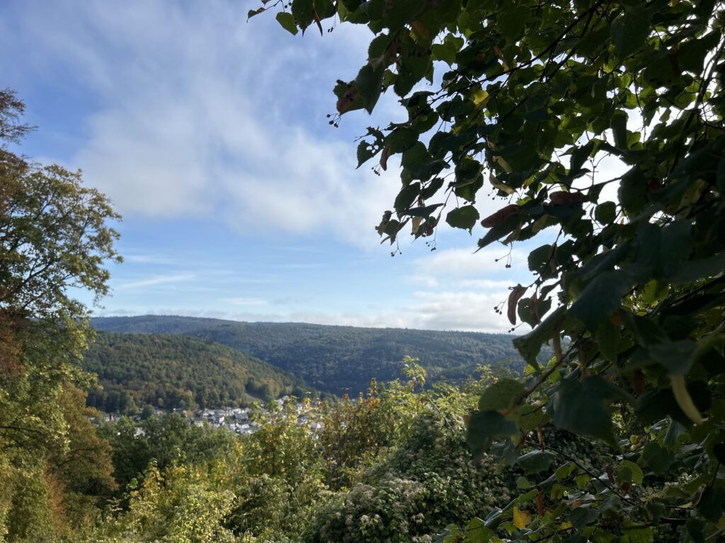 Ausblick auf das Neckartal