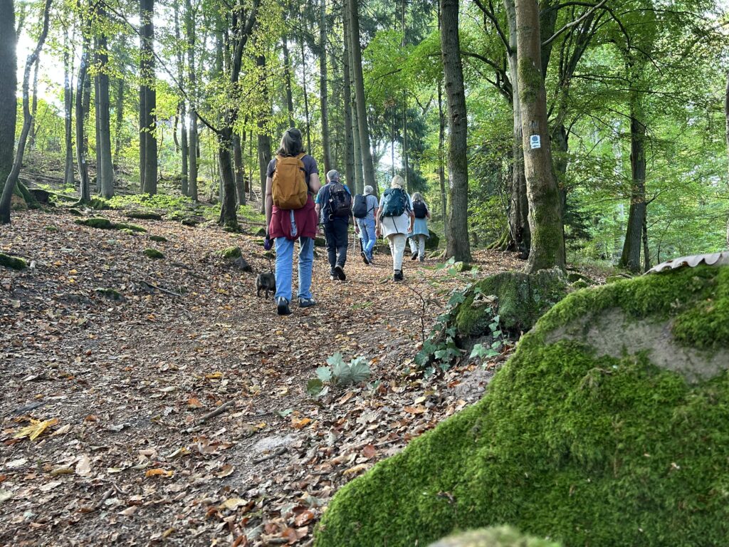 Herbstwald bei der Wanderung zur Mannheimer Hütte