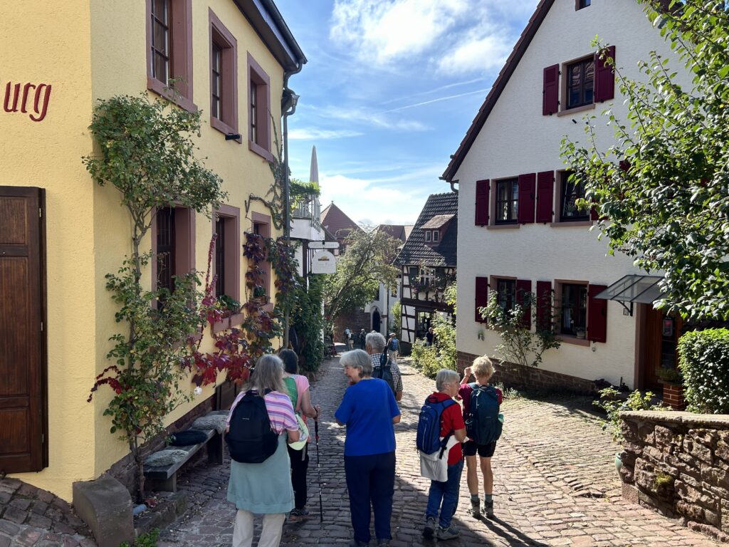 Auf dem Dilsberg